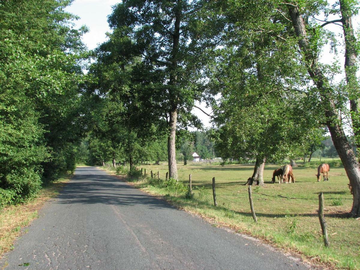 Brochów Strefa Kampinos 빌라 외부 사진