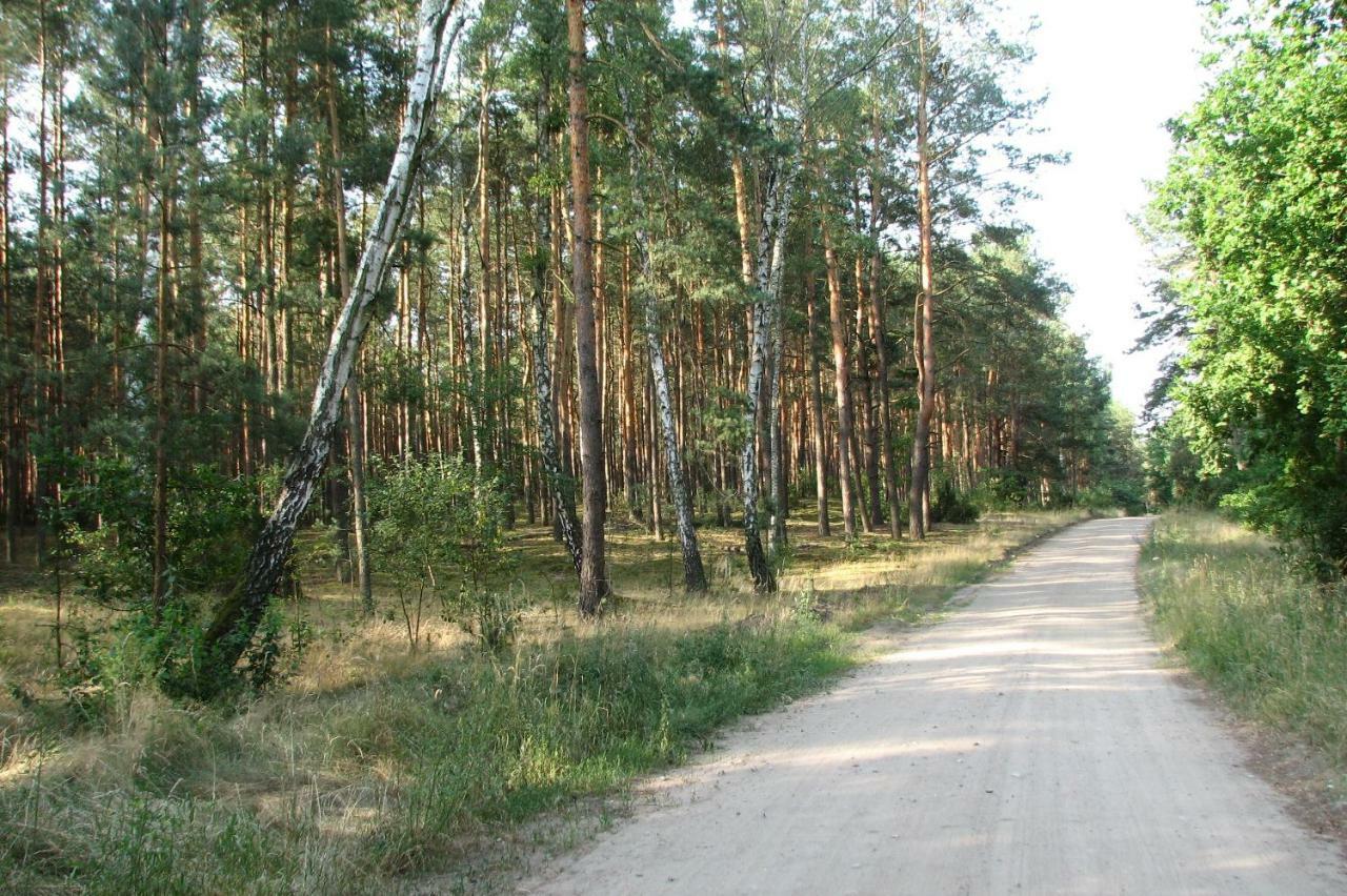 Brochów Strefa Kampinos 빌라 외부 사진
