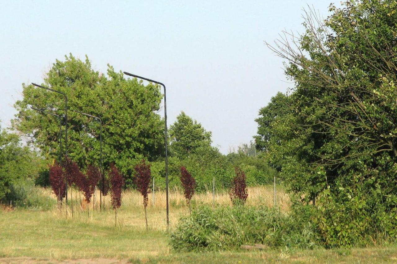 Brochów Strefa Kampinos 빌라 외부 사진