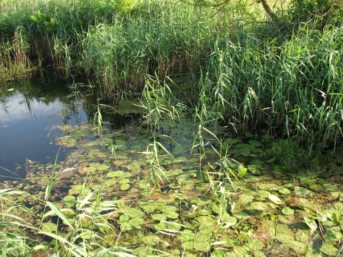 Brochów Strefa Kampinos 빌라 외부 사진