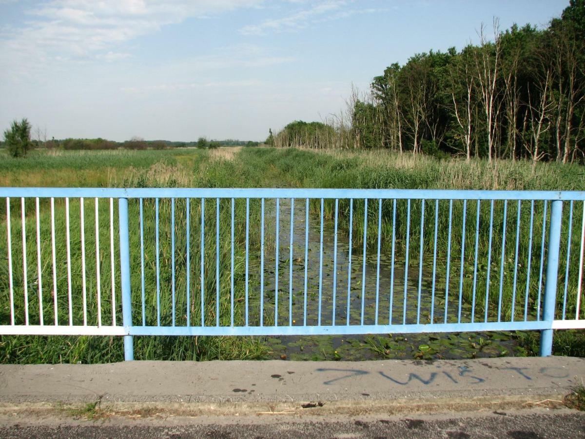 Brochów Strefa Kampinos 빌라 외부 사진