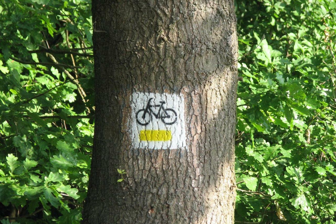 Brochów Strefa Kampinos 빌라 외부 사진