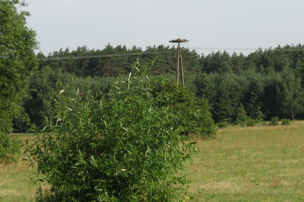 Brochów Strefa Kampinos 빌라 외부 사진