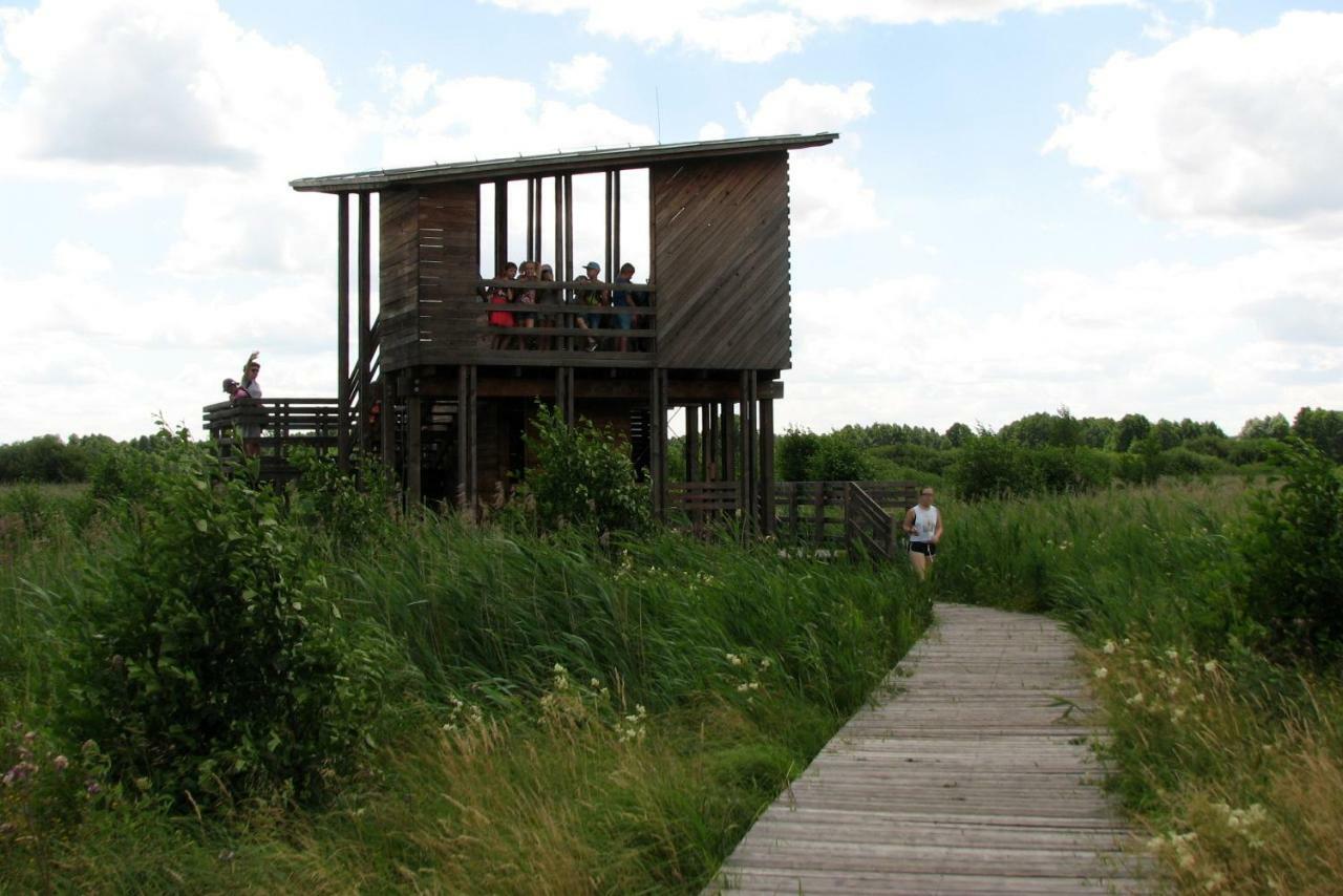Brochów Strefa Kampinos 빌라 외부 사진
