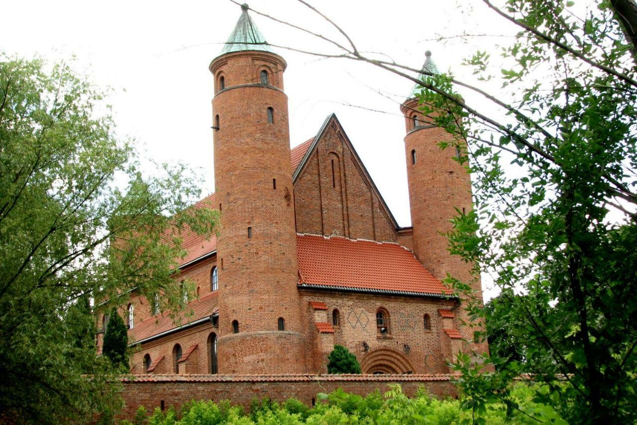 Brochów Strefa Kampinos 빌라 외부 사진